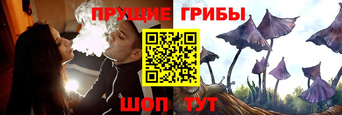 Галлюциногенные грибы мицелий  Псилоцибиновые грибы Psilocybe  Вход с VPN  Ликино-Дулёво 