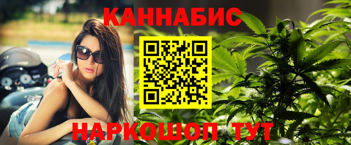 Канабис планчик Ликино-Дулёво